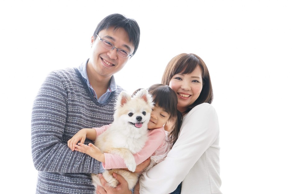 アニコム損保のメリットについてそれぞれ解説していきます。