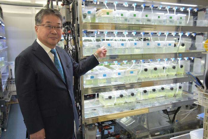 メダカの水槽と森教授