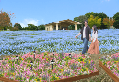 ▲ネモフィラ花壇と芝生広場（イメージ）