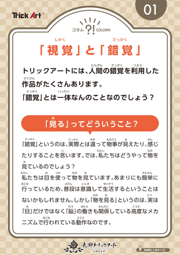 POP イメージ1