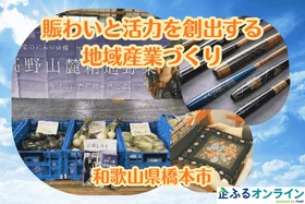 和歌山県橋本市のまちづくりを企業の力で支援！企業版ふるさと納税「企ふるオンライン」で寄附受付を開始
