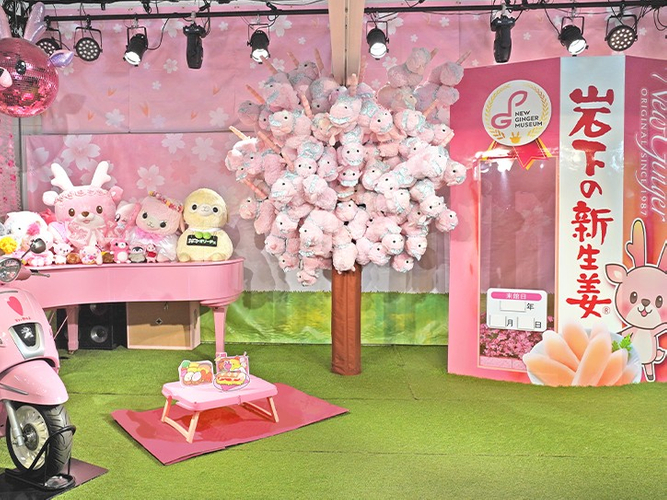 イベントステージに「岩下の新生姜アルパカ桜」が今年も登場