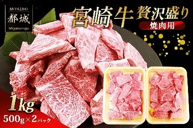 宮崎牛 贅沢盛り 焼肉用 １ｋｇ