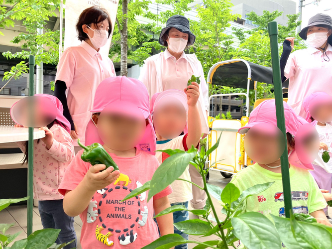 どのピーマンが一番大きいかな?
