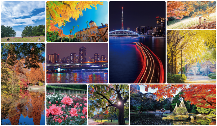 過去の入賞作品および、施設紹介写真