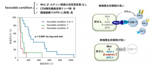 免疫チェックポイント阻害剤有効例に関わる因子(favorable condition)と無増悪生存期間