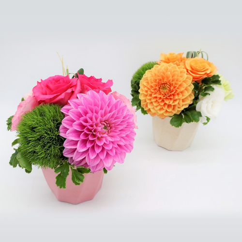 彩りダリアのアレンジメント&yen;3,300 税込