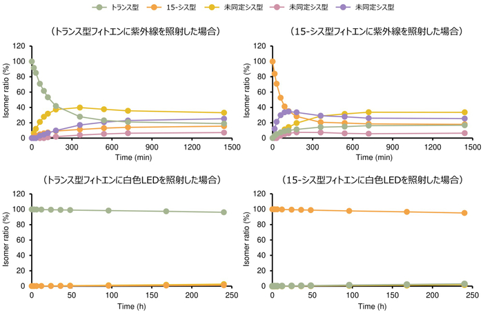 図３： 光照射（紫外線・白色LED）によるフィトエンの異性化挙動