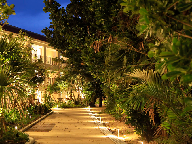 島の自然を残した保安林