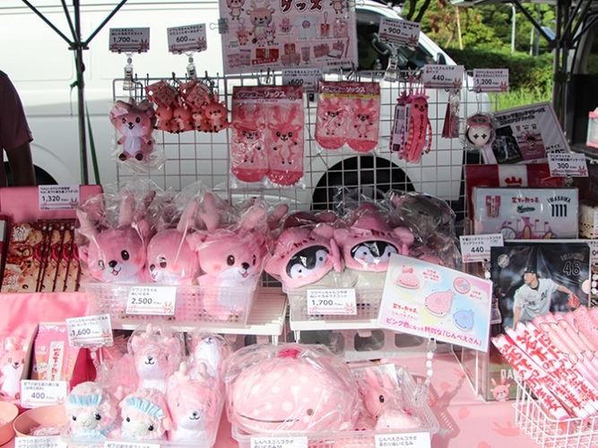 お土産におすすめ!イワシカちゃんグッズ、コラボグッズなど多数