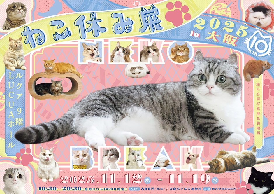ねこ休み展 キービジュアル(横)