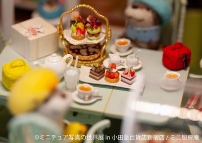 展示作品:ミニ厨房庵