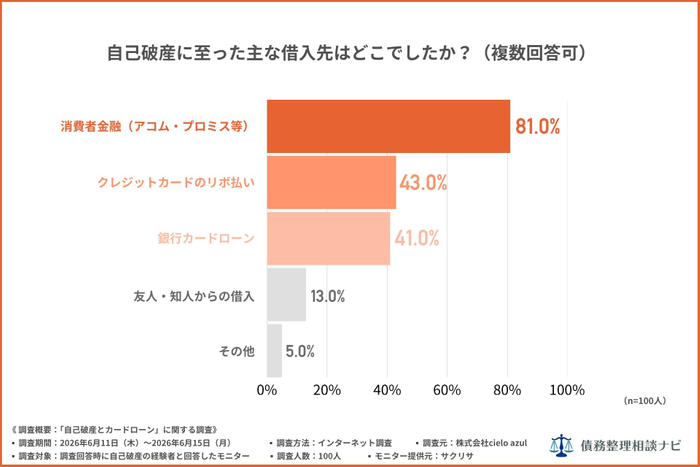 自己破産に至った主な借入先はどこでしたか？（複数回答可）