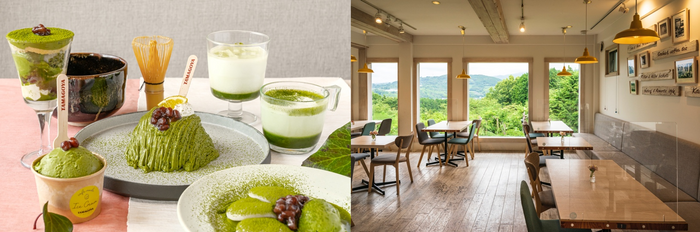 静岡県産抹茶のスイーツ・ドリンク/TAMAGOYAベーカリーカフェ店内