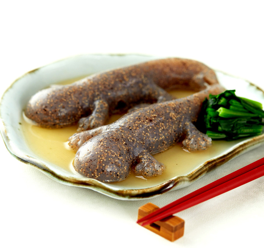 旅色お取り寄せAWARD2022　3位オオサンショウウオこんにゃく