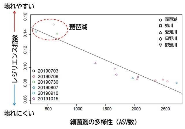 図2 レジリエンス指数の琵琶湖及び流入4河川間の比較。無作為(ランダム)絶滅シナリオという最も基本的な設定下での生態系シミュレーションの結果による。