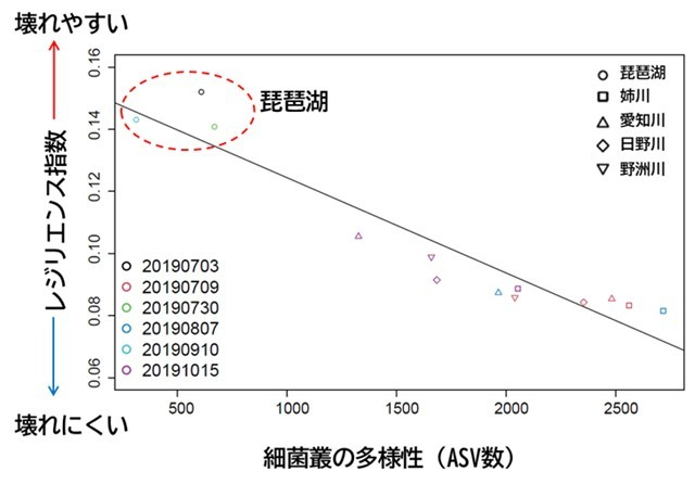  図2　レジリエンス指数の琵琶湖及び流入4河川間の比較。無作為（ランダム）絶滅シナリオという最も基本的な設定下での生態系シミュレーションの結果による。