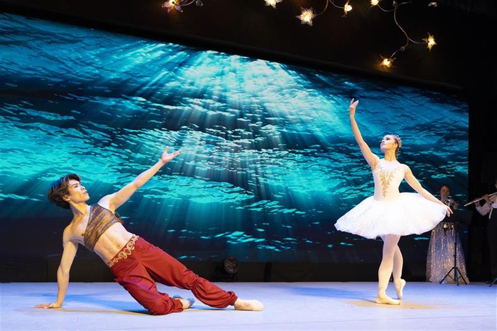 ▲過去公演の様子