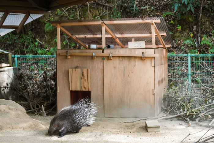 完成した小屋