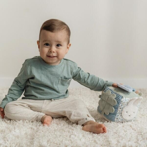 ミッフィーのキューブトイ