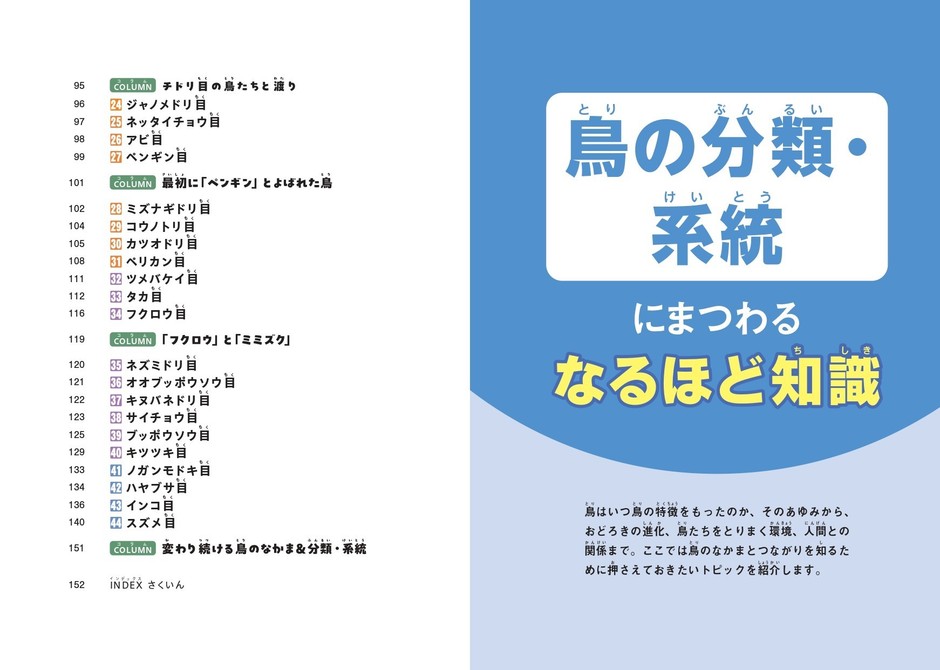 『鳥のなかま&分類・系統図鑑』もくじ②