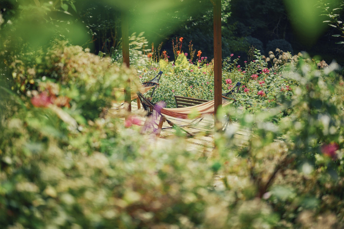 森の中のハンモック（四季の庭-いやしの庭-）