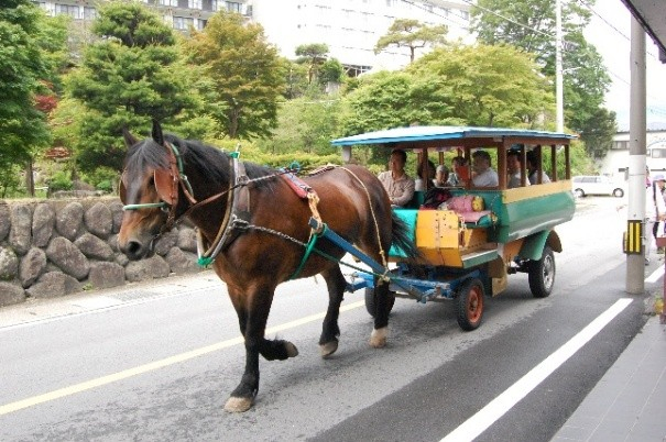 以前、運行していたトテ馬車