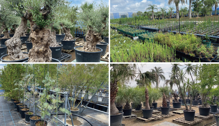 広大な敷地に500種20,000本の希少植物を販売する植栽専門大型ショップ『Botaniqa Atelier』