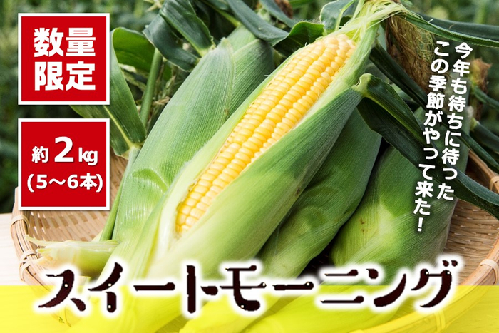 JA兵庫南 スイートモーニング(約2kg)