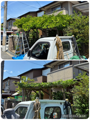 庭木の剪定・草刈り