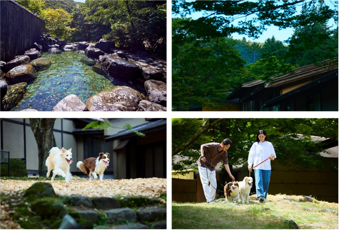 露天風呂／庭園・ドッグラン