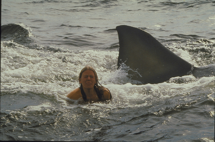 &copy; 1978 Universal Studios. All Rights Reserved.