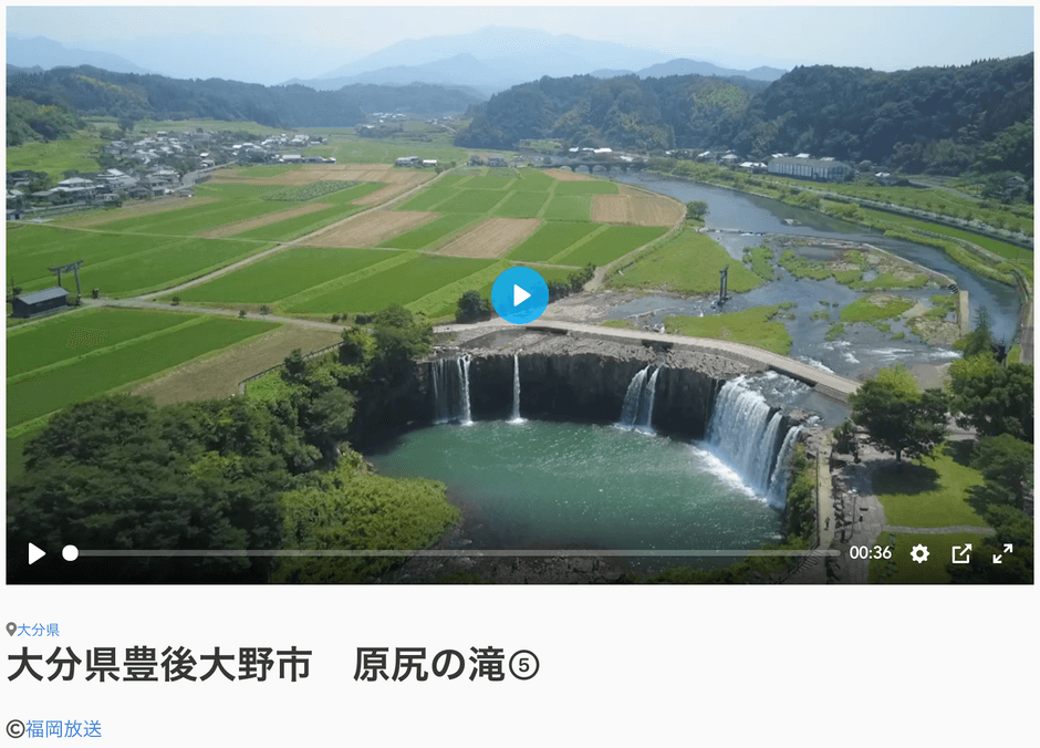 自然の動画