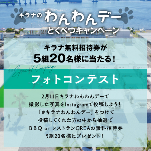 キャンペーン詳細