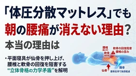 「体圧分散マットレス」でも朝の腰痛が消えない理由。平面寝具が仙骨を押し上げ、腰椎と軟骨の回復を阻害する“立体骨格の力学矛盾”レポートを発表