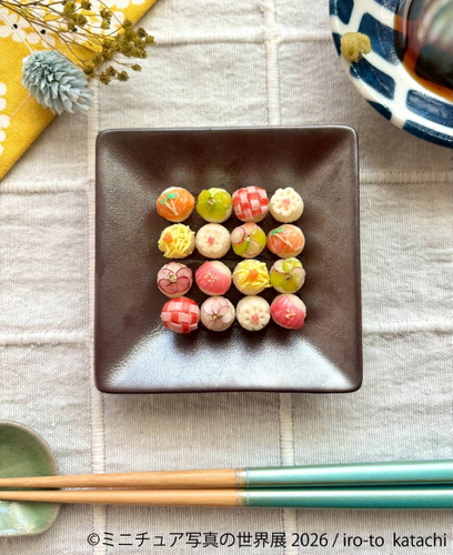 展示作品：iro-to katachi