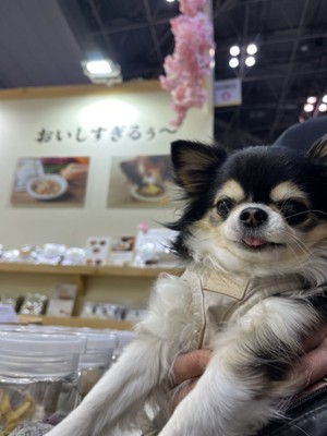 2025年出展時の参加者