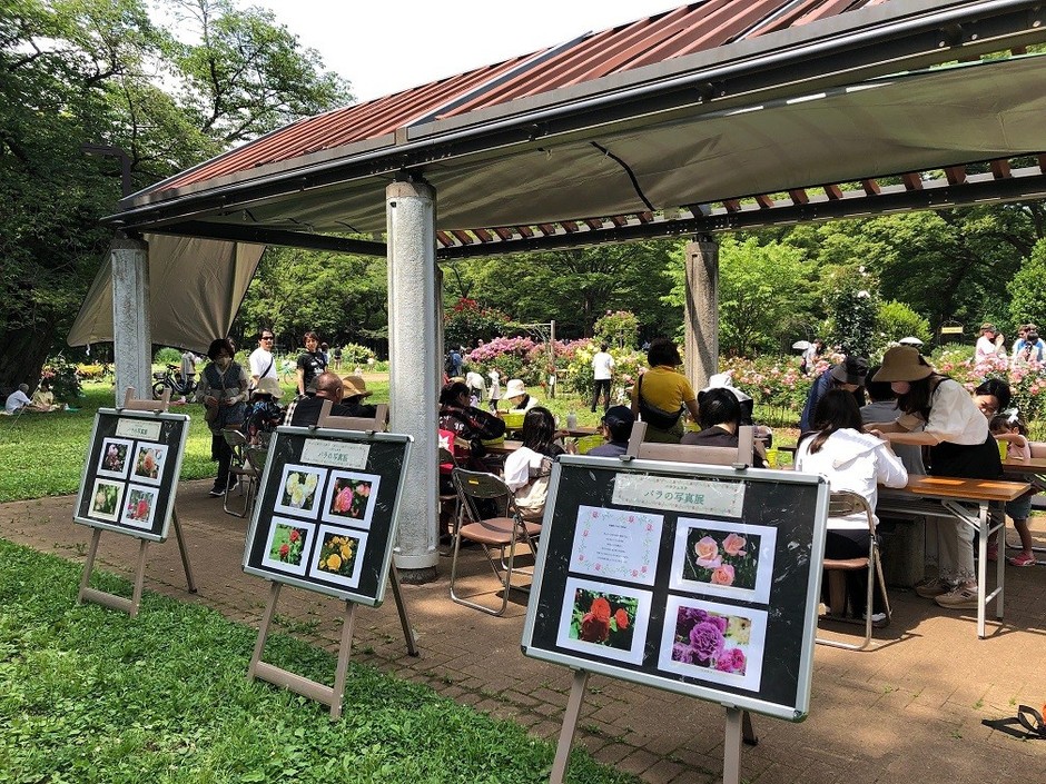 バラの写真展（過去開催時の様子）