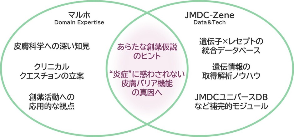 プロジェクト概要イメージ