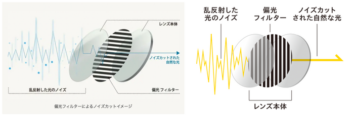 通常の偏光フィルターは水平に軸を持ちますが、垂直に軸を持たせた特殊レンズを開発しました ※画像はイメージです。