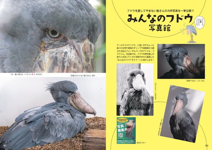みんなのフドウ写真館①