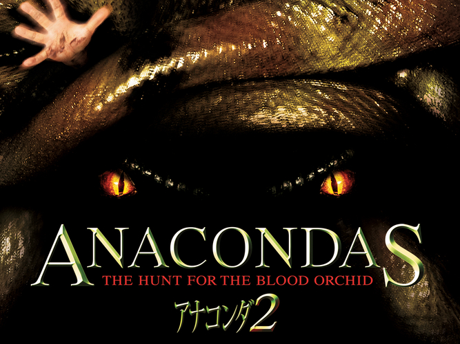 &copy; 2004 Screen Gems, Inc. All Rights Reserved.