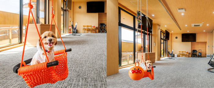 みなみテラスKaZeDoG&CaT