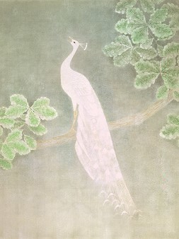 啼く