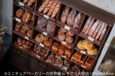 展示作品1