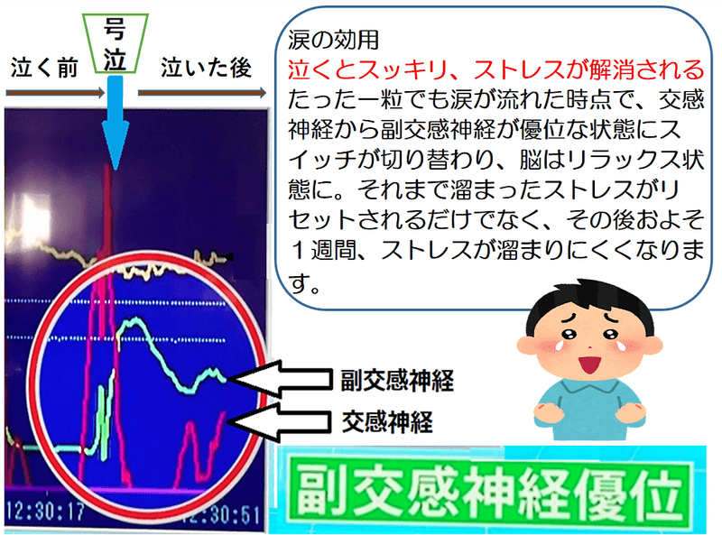 涙活で副交感神経が優位な状態にスイッチングして脳はリラックス状態に