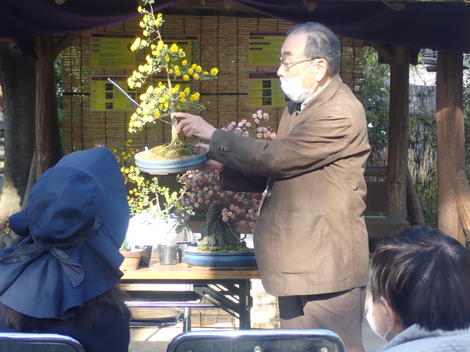 菊盆栽育て方教室の様子