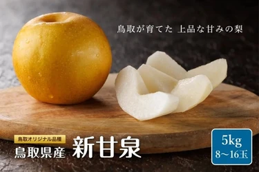まだ間に合う鳥取の梨！
旬のおいしさを閉じ込めた「新甘泉」「秋甘泉」などを 「ＪＡタウン」で販売中