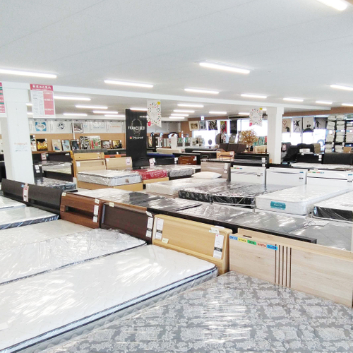 横になってお試しいただけるベッド売場