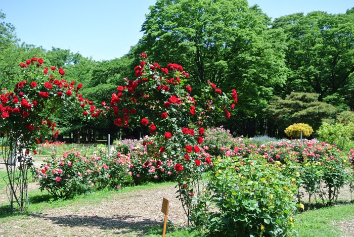 ▲フラワーランドの様子